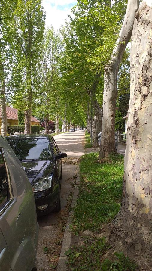 Heni Apartman ナジカニジャ エクステリア 写真